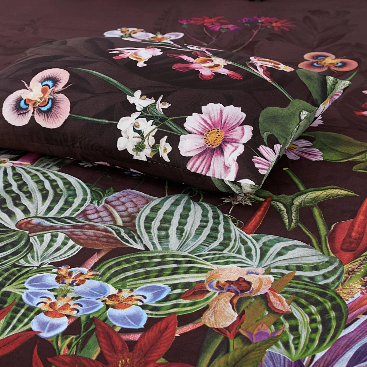 3 Pcs Cotton King Size Bedsheet